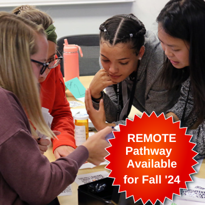 Remote Pathway Available for Fall 2024.