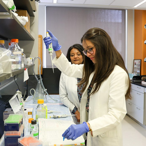 Women piping in a lab with a white coat