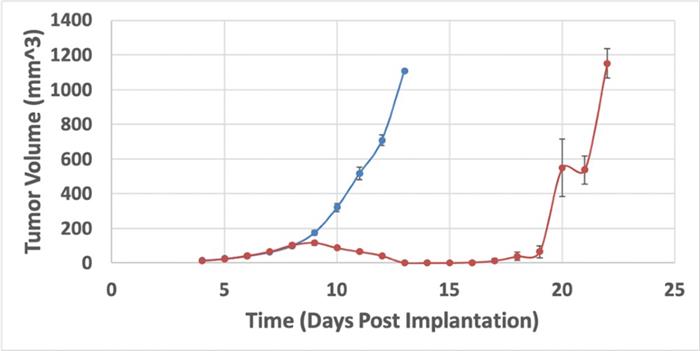 days-post-implantation