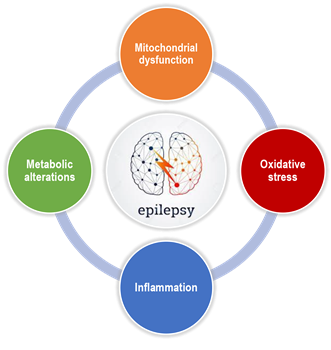epilepsy-chart
