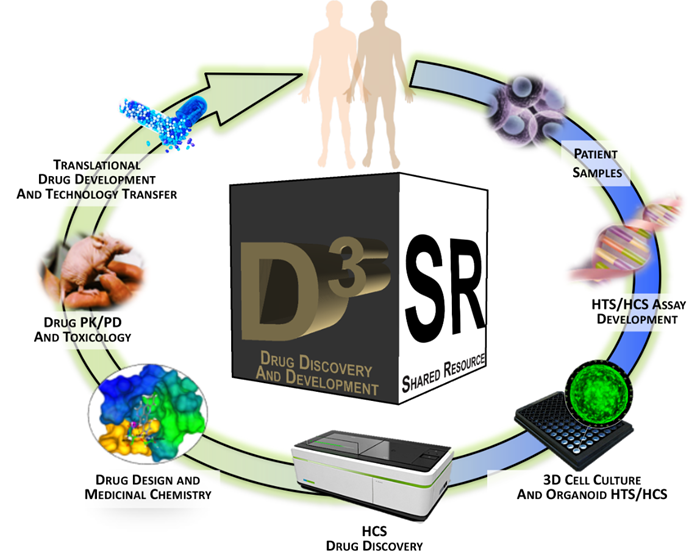 d3sr-shared-resource