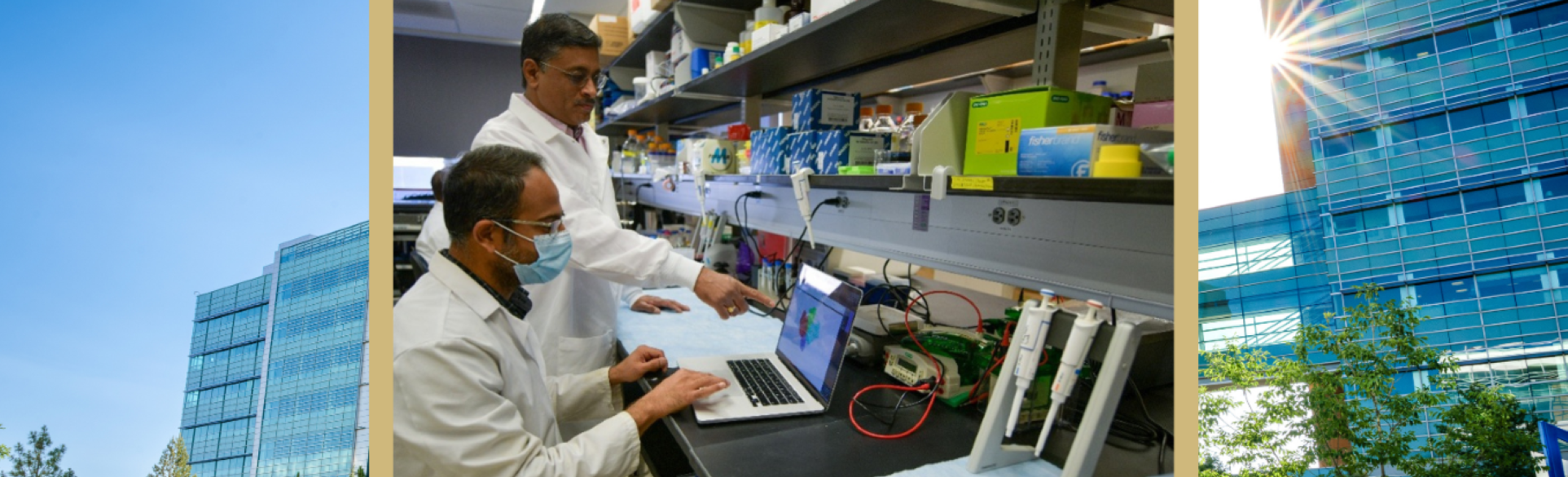 Researchers in Mallela laboratory