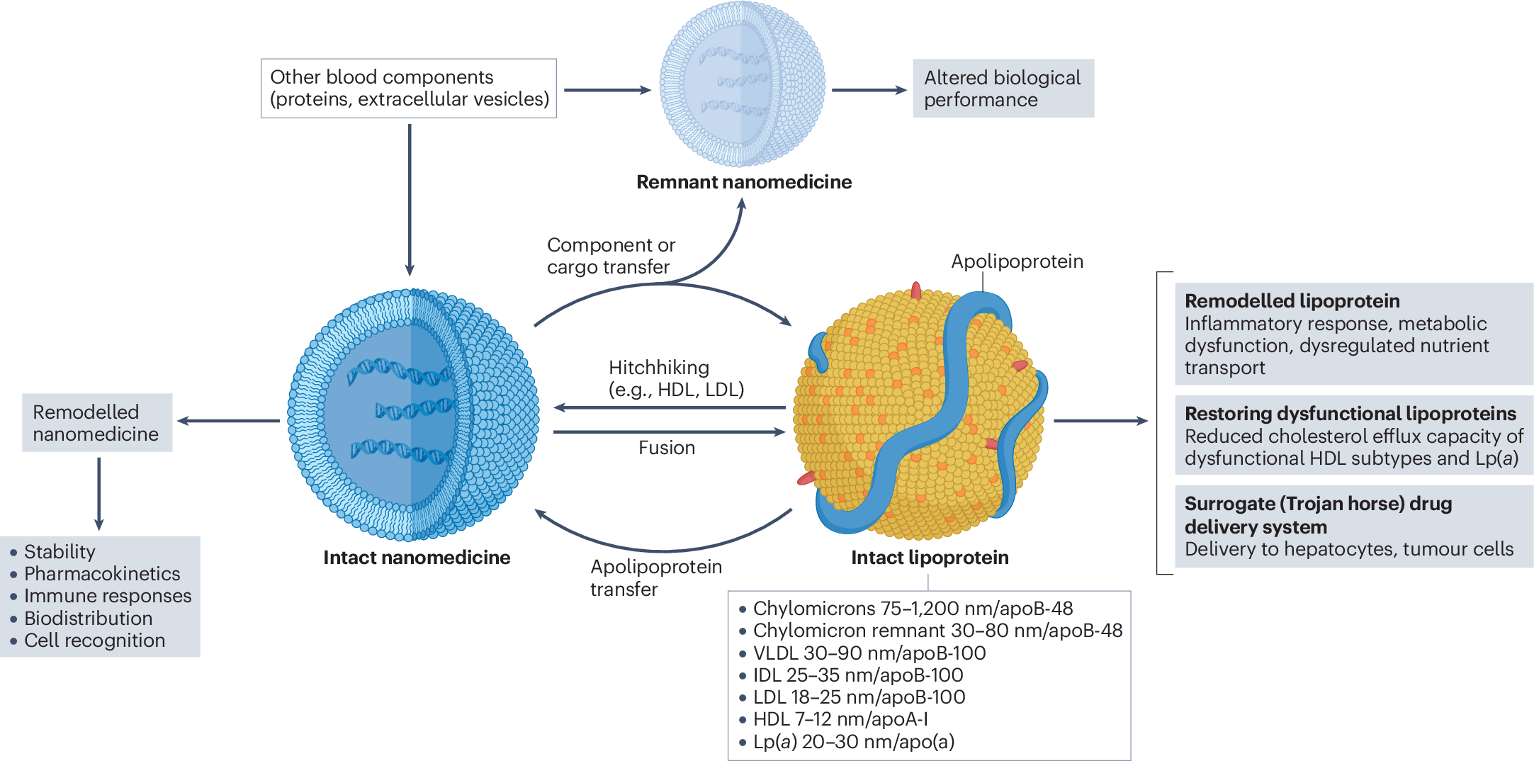 nanomedicine lipoproteins diagram